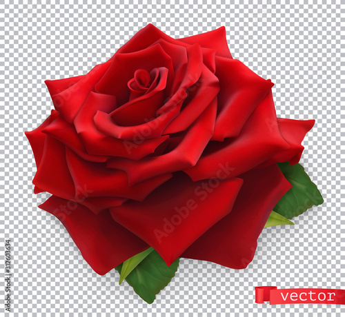 Red Rose. 3d realistic vector object