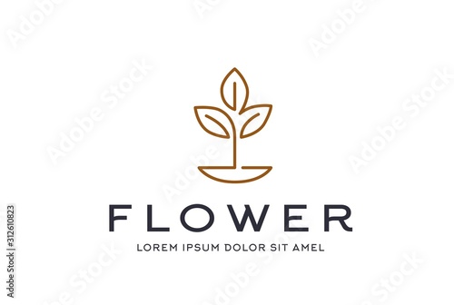 Abstract premium gold linear leaf icon design vector graphics
