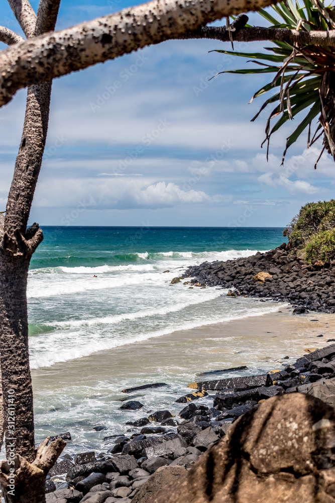 View over a rocky beach with a pandanus tree in the foreground