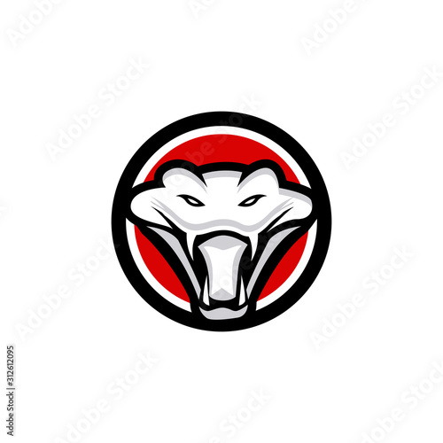 king cobra logo template design Vector illustration
