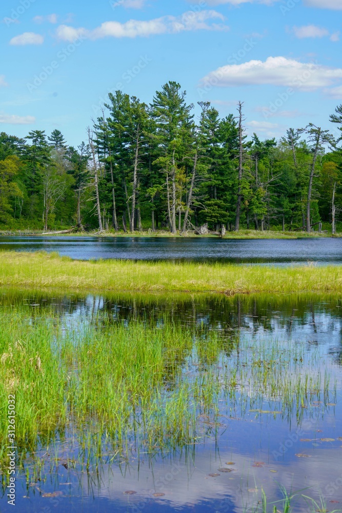 Obraz premium Reflections on a bright blue lake in northern Minnesota