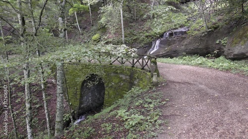 Campigna -  parco delle foreste casentinesi