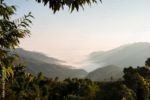  Elephant in Laos  