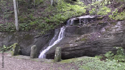 Campigna -  parco delle foreste casentinesi
