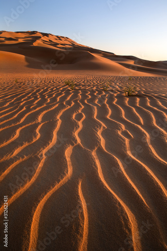 Fototapeta Naklejka Na Ścianę i Meble -  Abstract view of sand dunes in the desert at sunrise. Liwa desert, Empty Quarter, United Arab Emirates.