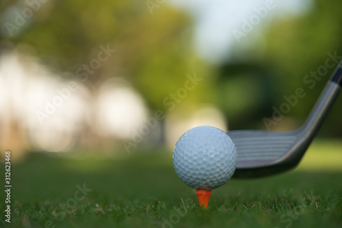 Golf ball on green grass ready to be struck on golf course background photo