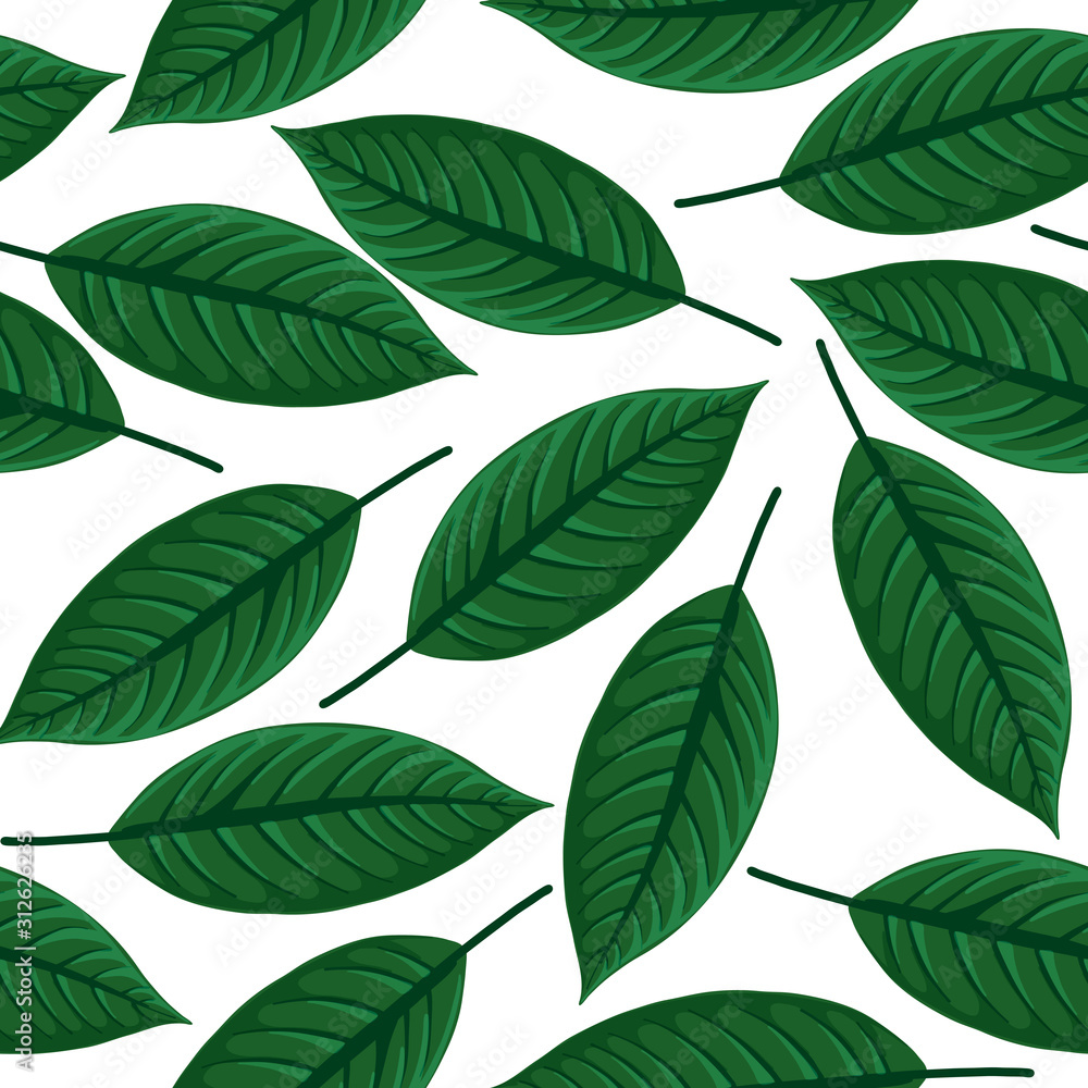 vector seamless pattern with drawing tropical leaf vector seamless pattern with drawing tropical leaf