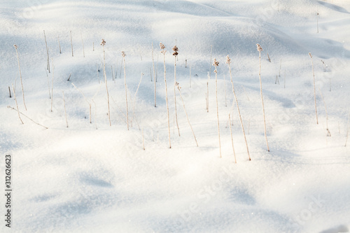 Wallpaper Mural winter snow Torontodigital.ca