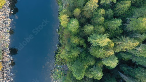 Aerial: Flying over a pine forest and river in the Nez Perce Clearwater National Forests, Idaho, USA photo