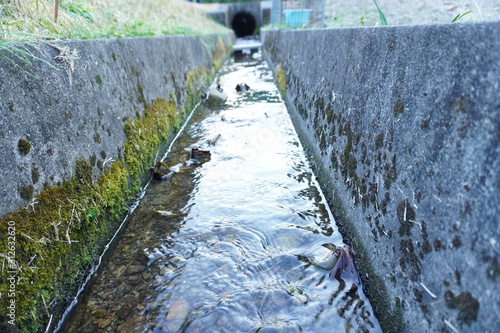 水　光　自然　風景　側溝