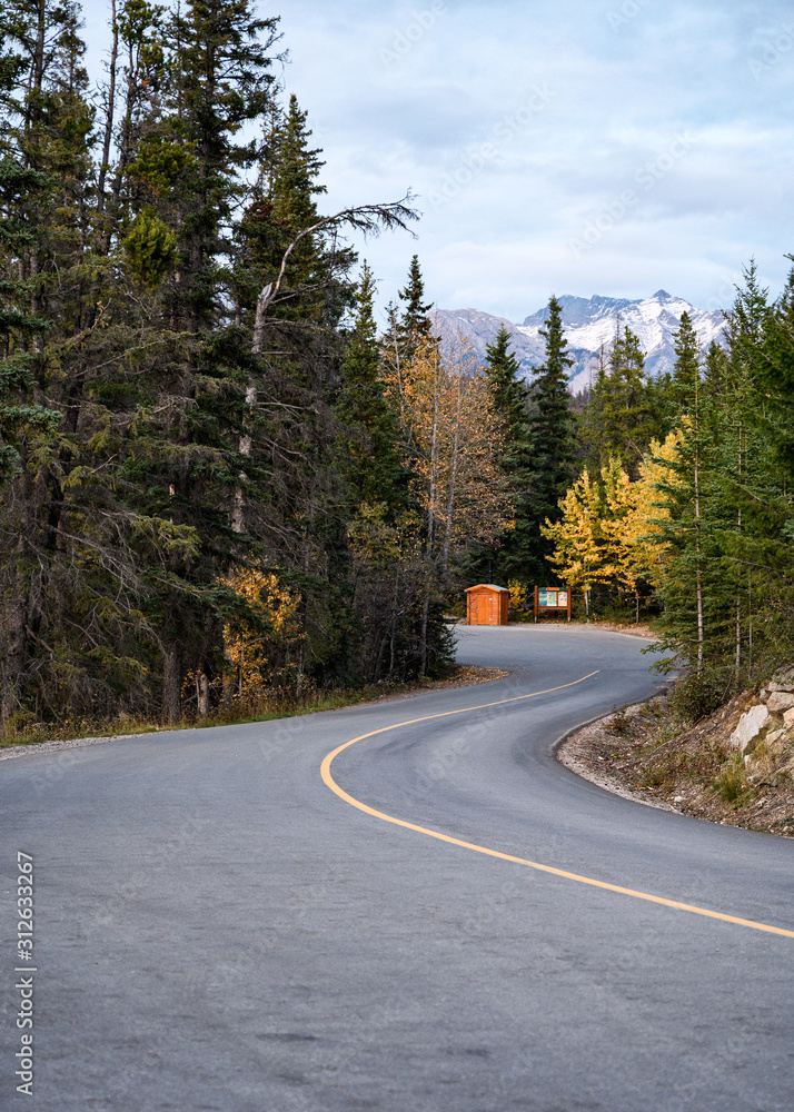 Curved asphalt road in pine forest on autumn at Jasper national park