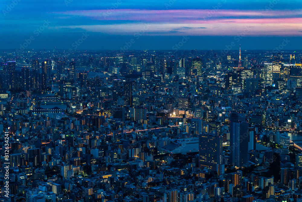 Scenic panoramic view of Tokyo at sunset from the Skytree, the tallest tower in the world, Japan