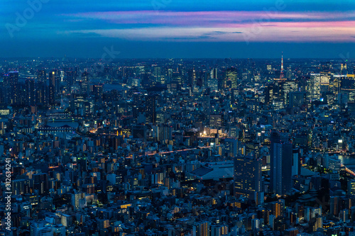 Scenic panoramic view of Tokyo at sunset from the Skytree, the tallest tower in the world, Japan