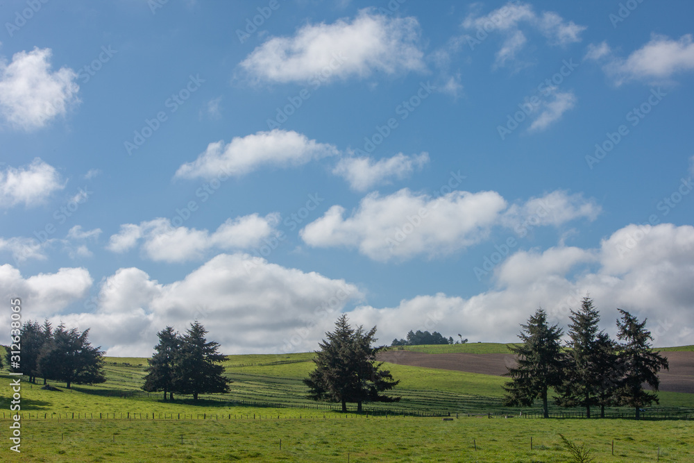 Hills. Te Urewera National Park New Zealand.. Lake Waikaremoana Hills. Te Urewera National Park New Zealand.. Lake Waikaremoana