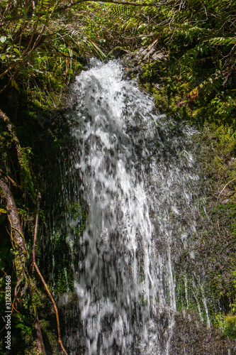 Korokoro waterfall. Te Urewera National Park New Zealand.. Lake Waikaremoana