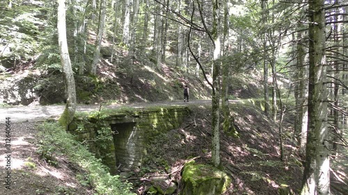 Campigna -  parco delle foreste casentinesi photo