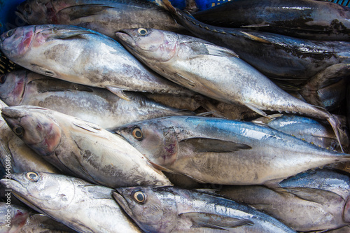 fresh fish at the market © Daniel Ferryanto