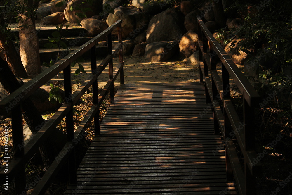 Fototapeta premium Steel or iron bridge on the garden with sunlight shadow. steel or iron footpath,walkway on the park with sunlight shadow
