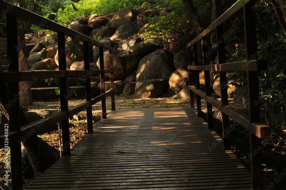 Fototapeta premium Steel or iron bridge on the garden with sunlight shadow. steel or iron footpath,walkway on the park with sunlight shadow