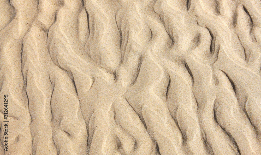 Beautiful shapes made of desert, carried by wind and dry soil that can look like life, some can be seen because of the blotches of cars that sometimes pass them in Morocco Beautiful shapes made of desert, carried by wind and dry soil that can look like life, some can be seen because of the blotches of cars that sometimes pass them in Morocco