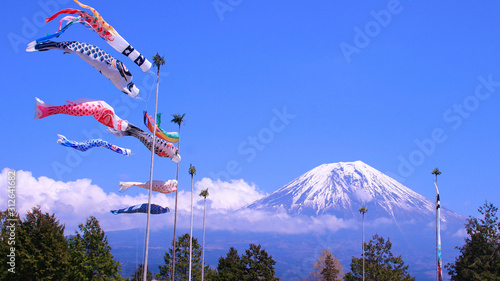 富士宮市　富士山と鯉のぼり photo