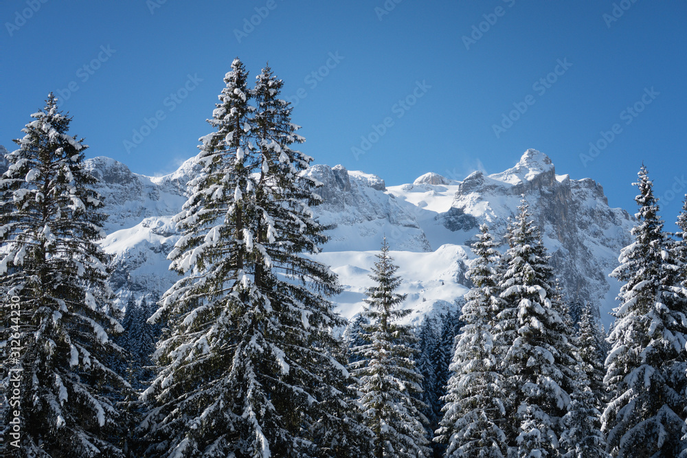 Verschneites Gauertal (Montafon / Vorarlberg / Österreich)