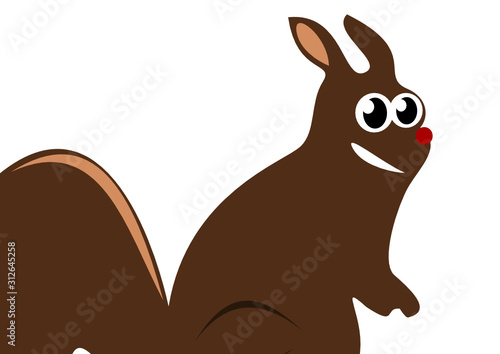 Eichhörnchen