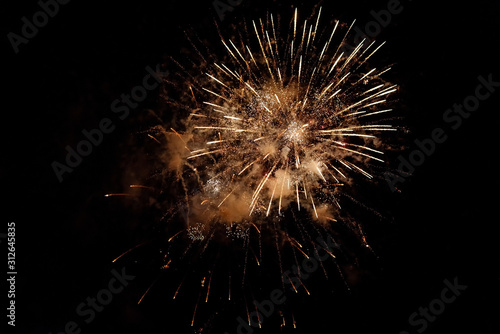 Delicate burst of golden fireworks in the night sky. Pyrotechnic show
