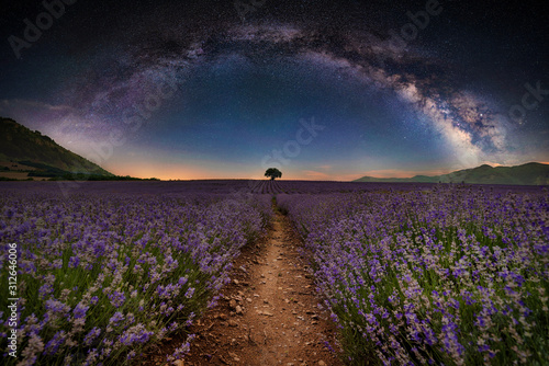 Lavender flower blooming fields in endless rows under full arc of milky way. Beautiful Universe, night summer landscape.