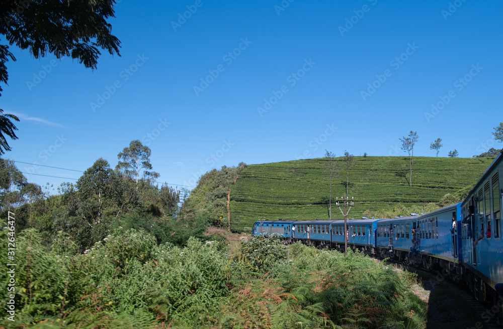 Famous blue train journey in Ella, Sri lanka