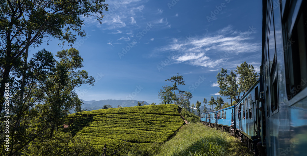 Famous blue train journey in Ella, Sri lanka
