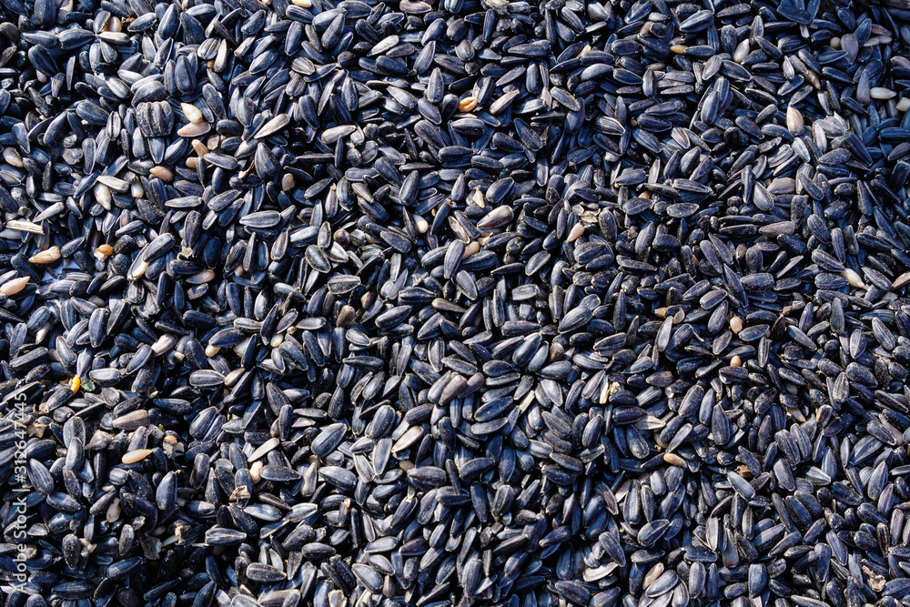 Close up of dried sunflower seeds that will be used as food for animals, displayed for sale at a market, photographed with soft focus Close up of dried sunflower seeds that will be used as food for animals, displayed for sale at a market, photographed with soft focus