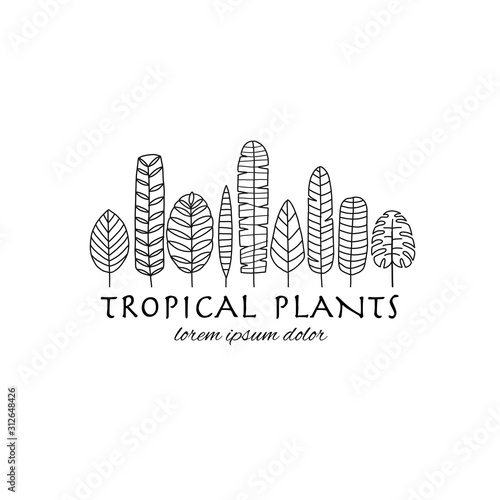 Tropical leaves background for your design