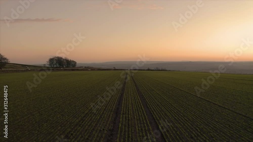 Aerial footage flying low over rows of planted seeded farmland fields with a reveal of hills in the Peak District National Park during a beautiful orange sunset