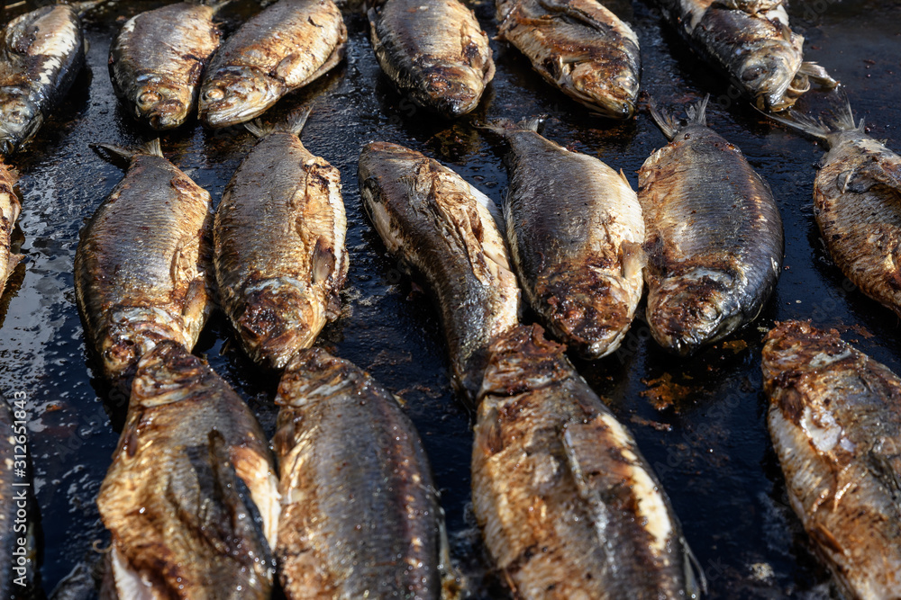 Mackerel fish prepared on hot hood a street food festival, cooked and ready to eat, side view of healthy food photographed with soft focus Mackerel fish prepared on hot hood a street food festival, cooked and ready to eat, side view of healthy food photographed with soft focus