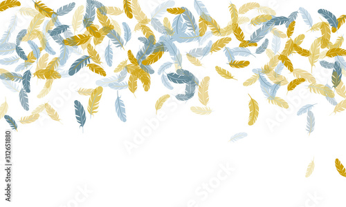 Fluffy twirled feathers on white design.