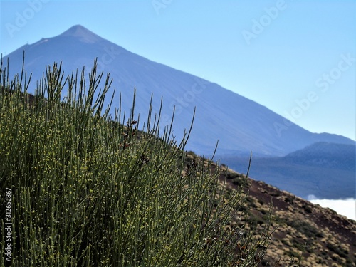 volcán teide photo