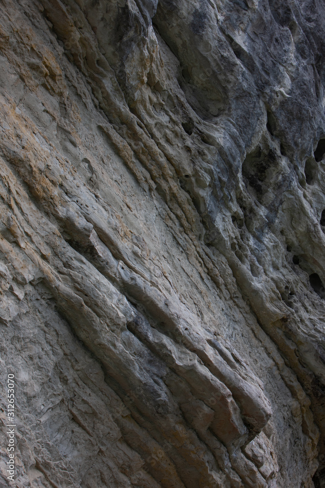 Te Urewera National Park. New Zealand. Rock formations