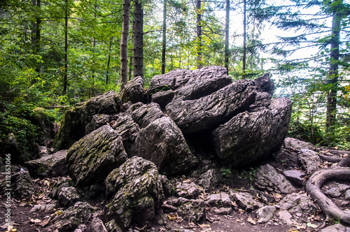 Wąwóz Homole, Pieniny, Polska photo