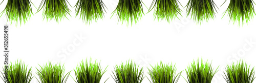 Potted grass panorama. Advertising.
