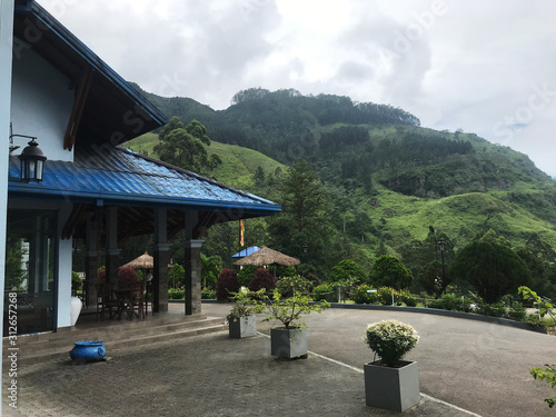 House rounded by trees and grass park forest 