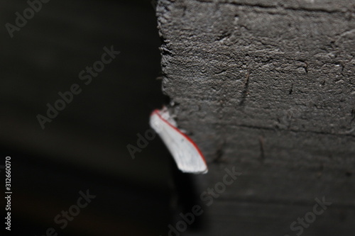 The red striped butterfly on its wings perched on the wall of the house photo