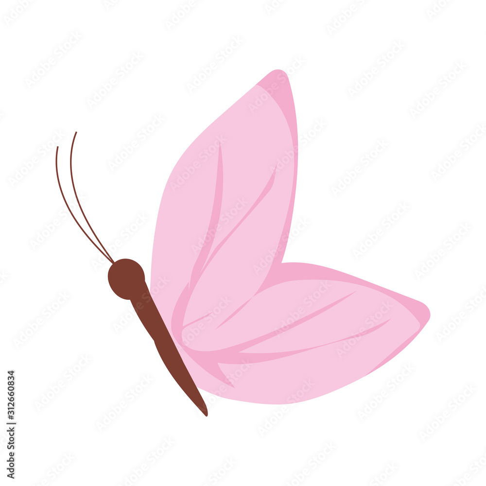 Isolated cute butterfly vector design Isolated cute butterfly vector design
