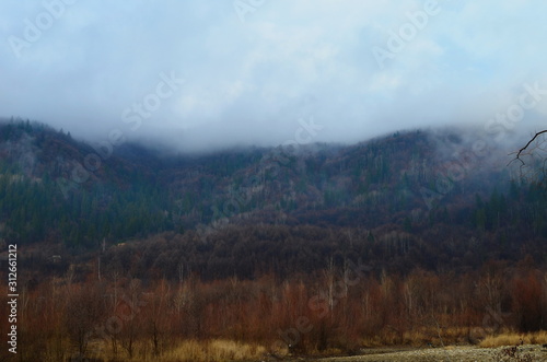 Mountain river water landscape. Wild river in mountains