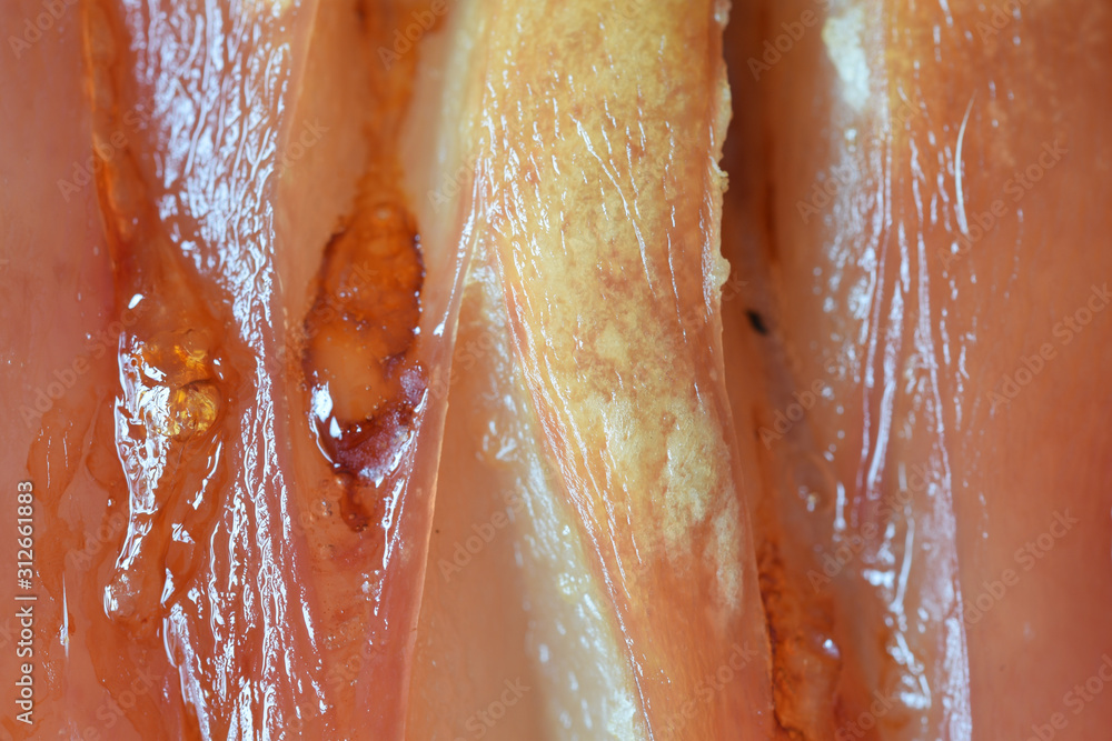 Fototapeta premium Macro image of crackling on Roast Pork