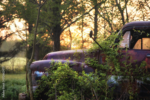 mother nature taking over