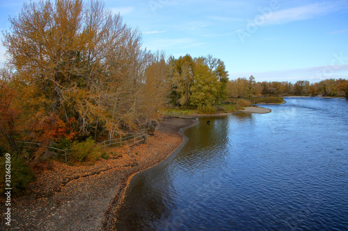 Wooded riverbank in autumn with trees in fall colors