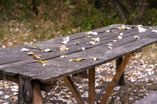 A table and two benches from a rough log house. Recreation area in the forest