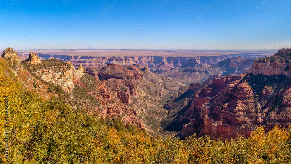View from the North Rim of Grand Canyon National Park in Arizona