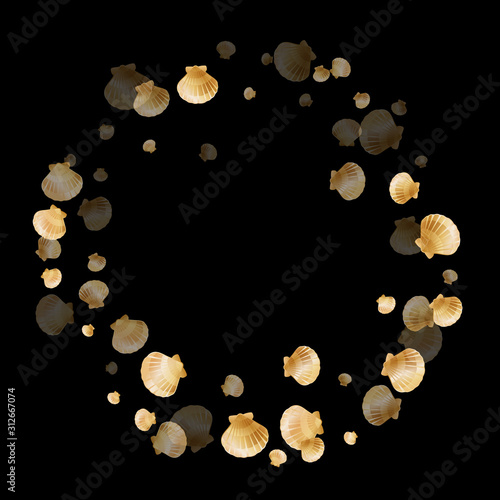 Gold seashells vector background, golden pearl bivalved mollusks. 